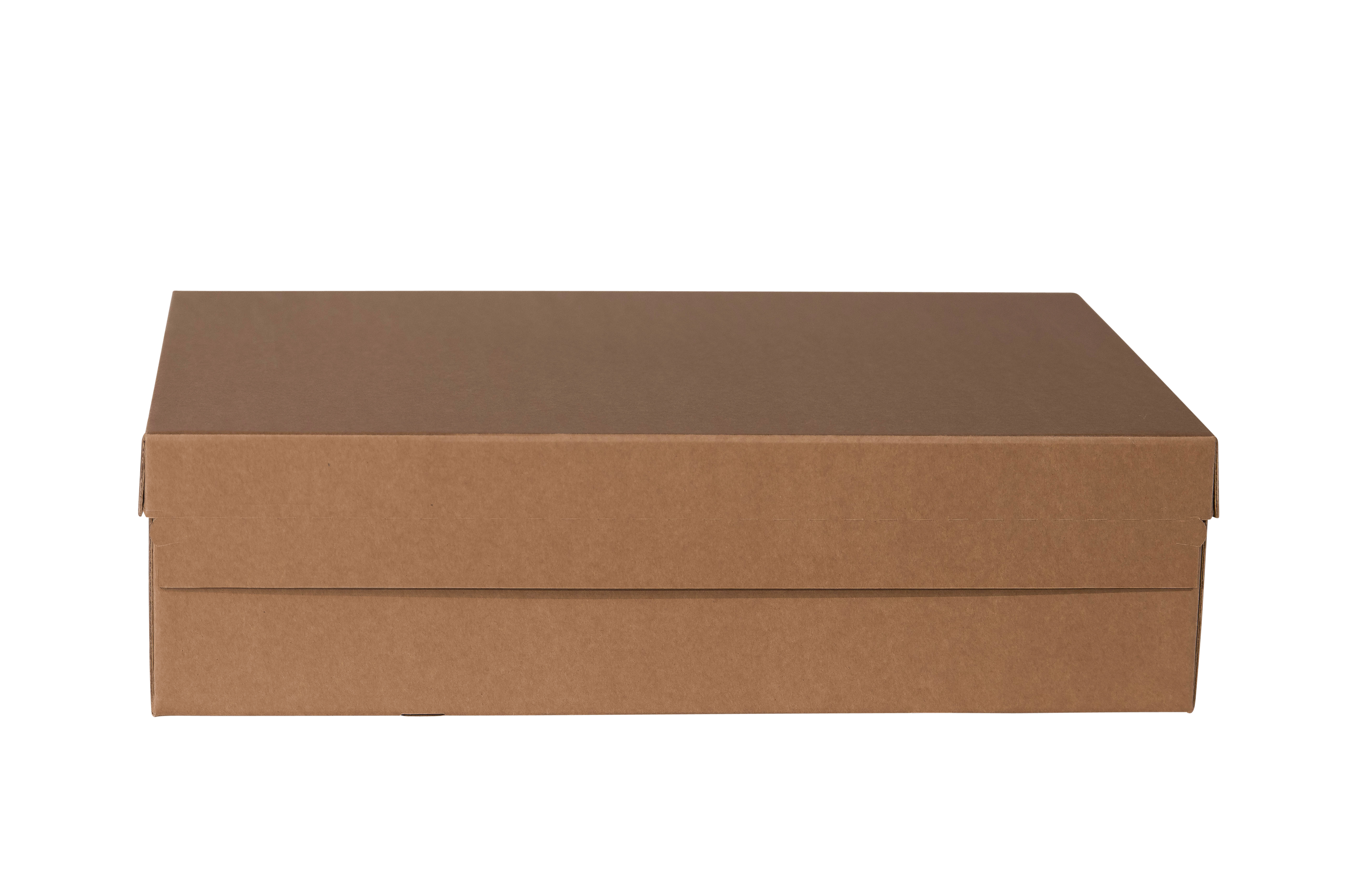 UNIVERSALVERSANDBOX CO21MASTER bruin m. Vollü. anhä. Deckel m. SK en AF 590x390x160 mm